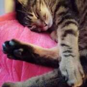 ヒメ日記 2025/03/31 23:16 投稿 高橋りょう 五十路マダム 新潟店(カサブランカグループ)