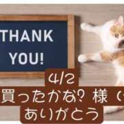 ヒメ日記 2025/04/06 06:20 投稿 高橋りょう 五十路マダム 新潟店(カサブランカグループ)