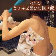 ヒメ日記 2025/04/15 10:36 投稿 高橋りょう 五十路マダム 新潟店(カサブランカグループ)