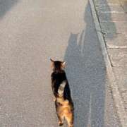 ヒメ日記 2025/04/19 16:16 投稿 高橋りょう 五十路マダム 新潟店(カサブランカグループ)