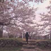 ヒメ日記 2025/04/23 07:32 投稿 高橋りょう 五十路マダム 新潟店(カサブランカグループ)