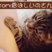 ヒメ日記 2025/04/29 06:46 投稿 高橋りょう 五十路マダム 新潟店(カサブランカグループ)