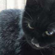 ヒメ日記 2025/05/12 07:32 投稿 高橋りょう 五十路マダム 新潟店(カサブランカグループ)