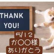 ヒメ日記 2025/05/14 08:16 投稿 高橋りょう 五十路マダム 新潟店(カサブランカグループ)