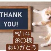 ヒメ日記 2025/05/15 07:46 投稿 高橋りょう 五十路マダム 新潟店(カサブランカグループ)