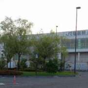 ヒメ日記 2025/07/03 05:00 投稿 高橋りょう 五十路マダム 新潟店(カサブランカグループ)