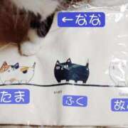 ヒメ日記 2025/08/02 06:32 投稿 高橋りょう 五十路マダム 新潟店(カサブランカグループ)