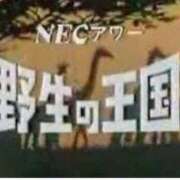 ヒメ日記 2025/09/01 21:36 投稿 高橋りょう 五十路マダム 新潟店(カサブランカグループ)