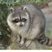 ヒメ日記 2025/10/05 01:08 投稿 高橋りょう 五十路マダム 新潟店(カサブランカグループ)