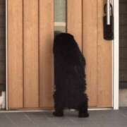 ヒメ日記 2025/11/09 05:00 投稿 高橋りょう 五十路マダム 新潟店(カサブランカグループ)