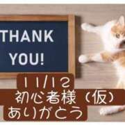 ヒメ日記 2025/11/13 06:46 投稿 高橋りょう 五十路マダム 新潟店(カサブランカグループ)