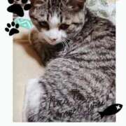 ヒメ日記 2025/11/22 21:04 投稿 高橋りょう 五十路マダム 新潟店(カサブランカグループ)