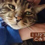 ヒメ日記 2025/11/27 20:16 投稿 高橋りょう 五十路マダム 新潟店(カサブランカグループ)