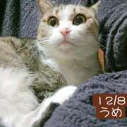 ヒメ日記 2025/12/08 08:40 投稿 高橋りょう 五十路マダム 新潟店(カサブランカグループ)