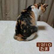 ヒメ日記 2025/12/10 01:46 投稿 高橋りょう 五十路マダム 新潟店(カサブランカグループ)