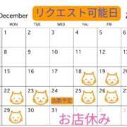 高橋りょう 12月出勤とリクエスト可能日。 五十路マダム 新潟店(カサブランカグループ)