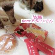 高橋りょう チ○コも好きだし?〜○んこも好き? 五十路マダム 新潟店(カサブランカグループ)