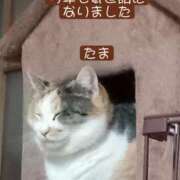 ヒメ日記 2025/12/31 23:46 投稿 高橋りょう 五十路マダム 新潟店(カサブランカグループ)