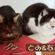 ヒメ日記 2026/01/05 05:30 投稿 高橋りょう 五十路マダム 新潟店(カサブランカグループ)