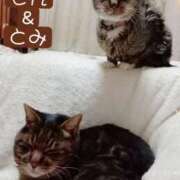 ヒメ日記 2026/01/09 22:56 投稿 高橋りょう 五十路マダム 新潟店(カサブランカグループ)