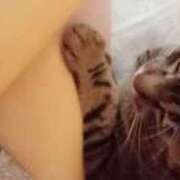 ヒメ日記 2026/01/18 21:04 投稿 高橋りょう 五十路マダム 新潟店(カサブランカグループ)