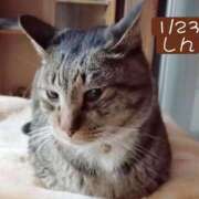 ヒメ日記 2026/01/23 16:02 投稿 高橋りょう 五十路マダム 新潟店(カサブランカグループ)