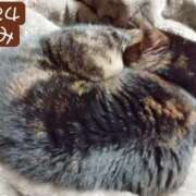 ヒメ日記 2026/01/25 00:02 投稿 高橋りょう 五十路マダム 新潟店(カサブランカグループ)