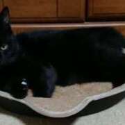 ヒメ日記 2026/02/02 21:04 投稿 高橋りょう 五十路マダム 新潟店(カサブランカグループ)