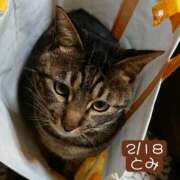 ヒメ日記 2026/02/18 18:04 投稿 高橋りょう 五十路マダム 新潟店(カサブランカグループ)