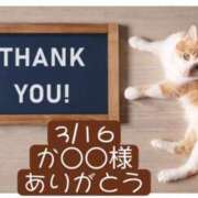 ヒメ日記 2026/03/17 19:48 投稿 高橋りょう 五十路マダム 新潟店(カサブランカグループ)