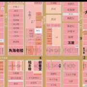 ヒメ日記 2026/03/17 20:32 投稿 高橋りょう 五十路マダム 新潟店(カサブランカグループ)