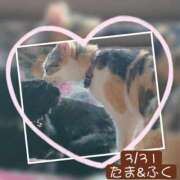 ヒメ日記 2026/03/31 23:04 投稿 高橋りょう 五十路マダム 新潟店(カサブランカグループ)