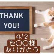 ヒメ日記 2026/04/03 22:46 投稿 高橋りょう 五十路マダム 新潟店(カサブランカグループ)