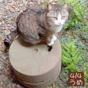 ヒメ日記 2026/04/04 22:04 投稿 高橋りょう 五十路マダム 新潟店(カサブランカグループ)