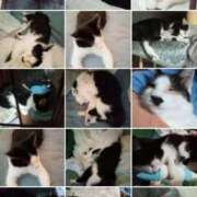 ヒメ日記 2026/04/06 00:02 投稿 高橋りょう 五十路マダム 新潟店(カサブランカグループ)