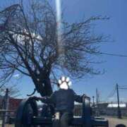 ヒメ日記 2026/04/08 23:02 投稿 高橋りょう 五十路マダム 新潟店(カサブランカグループ)