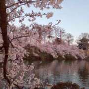 ヒメ日記 2026/04/10 20:48 投稿 高橋りょう 五十路マダム 新潟店(カサブランカグループ)