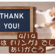 ヒメ日記 2026/04/15 06:32 投稿 高橋りょう 五十路マダム 新潟店(カサブランカグループ)