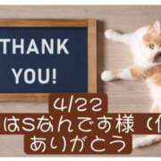 ヒメ日記 2026/04/23 05:00 投稿 高橋りょう 五十路マダム 新潟店(カサブランカグループ)