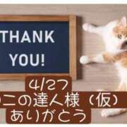 ヒメ日記 2026/04/28 06:20 投稿 高橋りょう 五十路マダム 新潟店(カサブランカグループ)