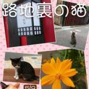 ヒメ日記 2026/05/09 22:46 投稿 高橋りょう 五十路マダム 新潟店(カサブランカグループ)