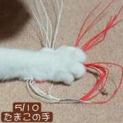 ヒメ日記 2026/05/10 22:04 投稿 高橋りょう 五十路マダム 新潟店(カサブランカグループ)