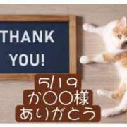ヒメ日記 2026/05/20 06:20 投稿 高橋りょう 五十路マダム 新潟店(カサブランカグループ)