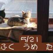 ヒメ日記 2026/05/21 22:34 投稿 高橋りょう 五十路マダム 新潟店(カサブランカグループ)