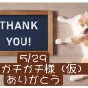 ヒメ日記 2026/05/30 06:46 投稿 高橋りょう 五十路マダム 新潟店(カサブランカグループ)