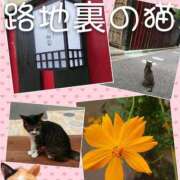ヒメ日記 2026/06/15 04:00 投稿 高橋りょう 五十路マダム 新潟店(カサブランカグループ)