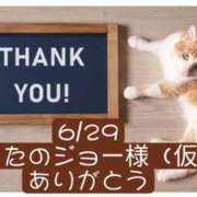 ヒメ日記 2026/06/30 06:20 投稿 高橋りょう 五十路マダム 新潟店(カサブランカグループ)