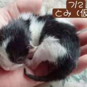 ヒメ日記 2026/07/02 06:46 投稿 高橋りょう 五十路マダム 新潟店(カサブランカグループ)