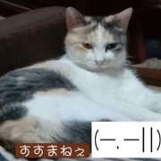 ヒメ日記 2026/09/09 13:16 投稿 高橋りょう 五十路マダム 新潟店(カサブランカグループ)