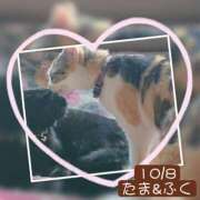 ヒメ日記 2026/10/08 06:32 投稿 高橋りょう 五十路マダム 新潟店(カサブランカグループ)